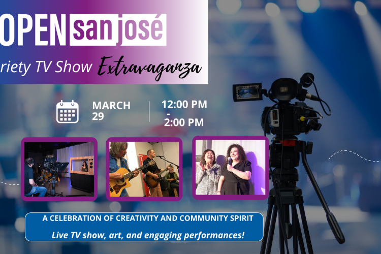 Variety TV Show Extravaganza