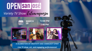 Variety TV Show Extravaganza